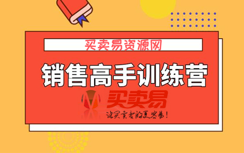 薇安28天销售高手训练营（全套课程）