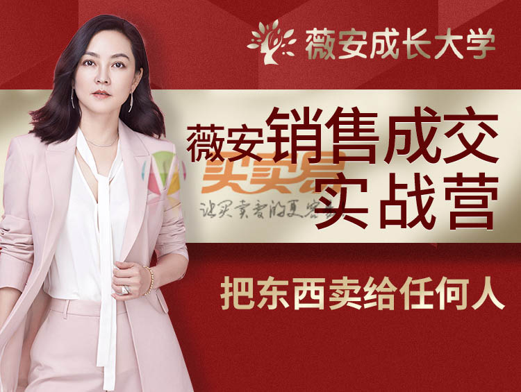 薇安28天销售高手训练营