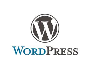 完美解决WordPress中文标签访问404的问题，非插件版