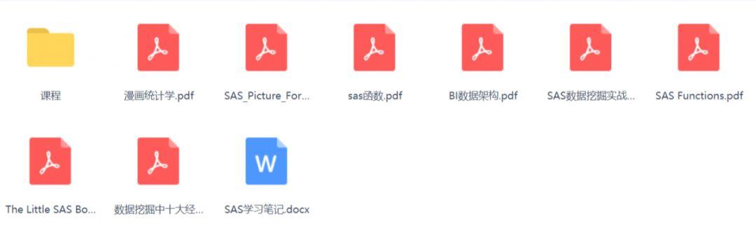  SAS资料
