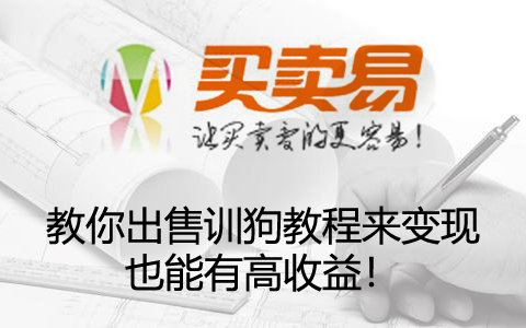 教你出售训狗教程来变现，也能有高收益！