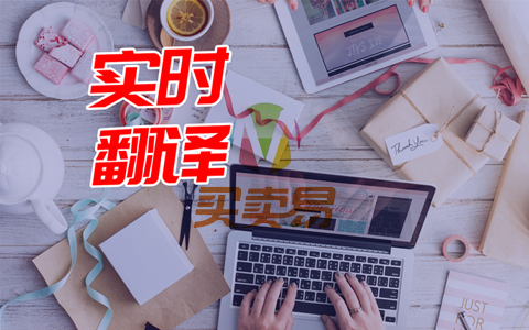 实时在线本地视频翻译 看片神器