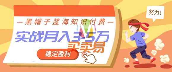 黑帽子蓝海知识付费项目_持续稳定盈利