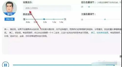 音频项目，赚到钱的人都是这样操作的！