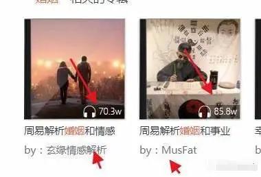音频项目，赚到钱的人都是这样操作的！