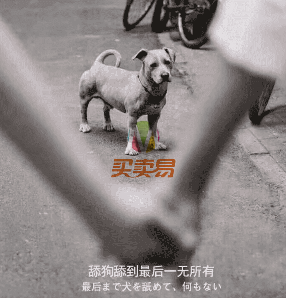 关于最近圈子很火的“舔狗日记”解说