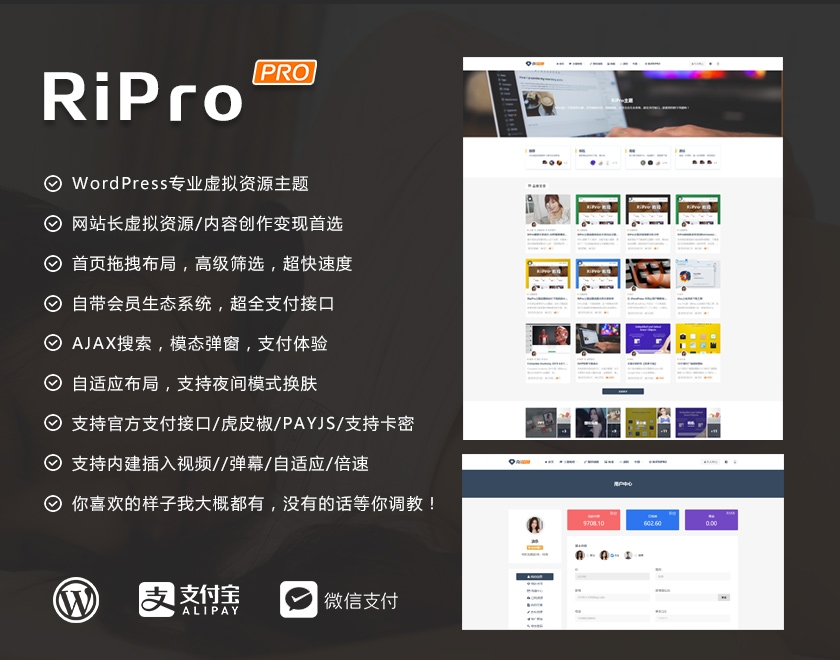 RiProV6.2破解版带美化插件