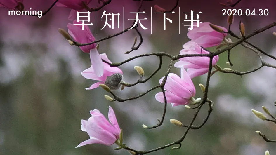 2020年04月30日，农历四月初八，星期四，在这里，每天60秒读懂世界！