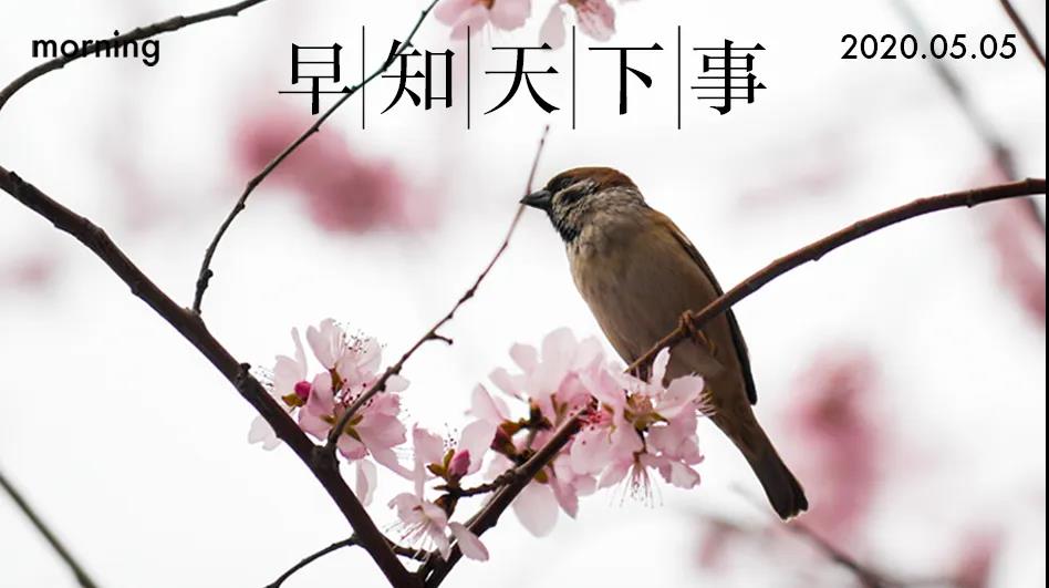 2020年05月05日，农历四月十三，星期二，今日立夏