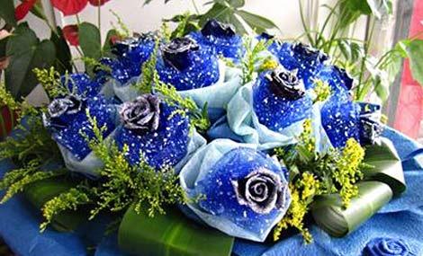 问花店蓝色妖姬花语是代表什么 适合送什么人